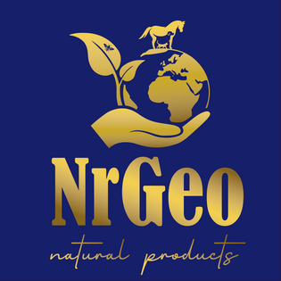 NRGEO